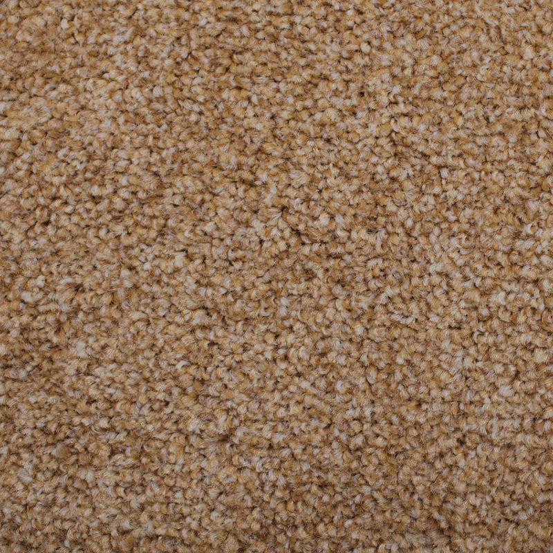 Stain Away Ultimate Harvest Heathers Carpet