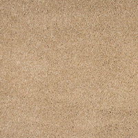 Orion 50oz Carpet