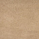 Orion 50oz Carpet