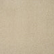 Orion 50oz Carpet