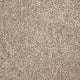 Soho Carpet