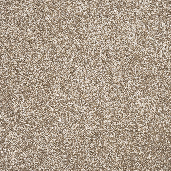 Tribeca Carpet
