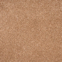 Orion 50oz Carpet