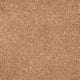 Orion 50oz Carpet