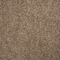 Soho Carpet
