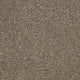Stain Away Ultimate Harvest Heathers Carpet
