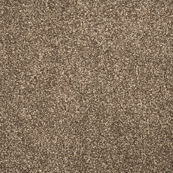 Tribeca Carpet