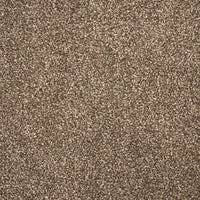 Tribeca Carpet