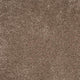 Orion 50oz Carpet