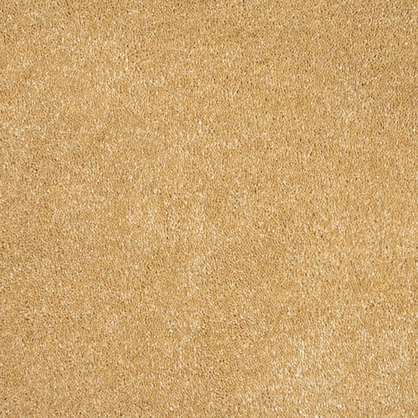 Orion 50oz Carpet