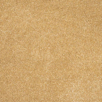 Orion 50oz Carpet