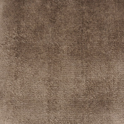 Elegance Carpet - ITC