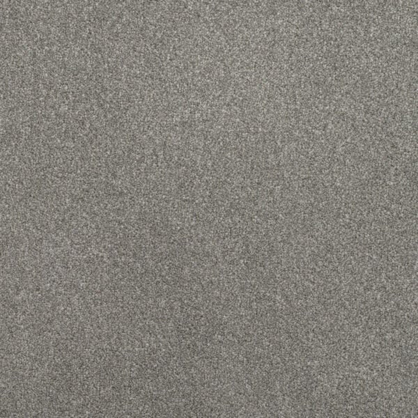 Addiction Carpet