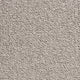 Verdi Carpet