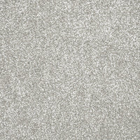 Tribeca Carpet
