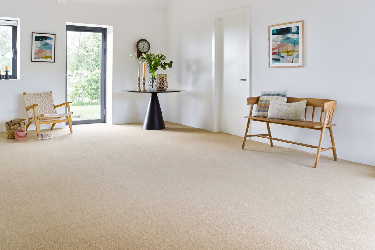 New Ambience Carpet