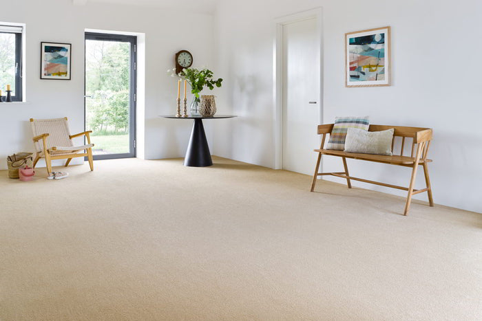 New Ambience Carpet