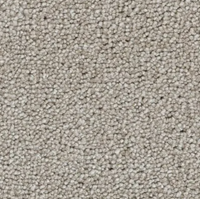Eleganza Carpet