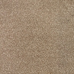 Invictus Darius 50oz Carpet