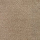 Invictus Darius 50oz Carpet