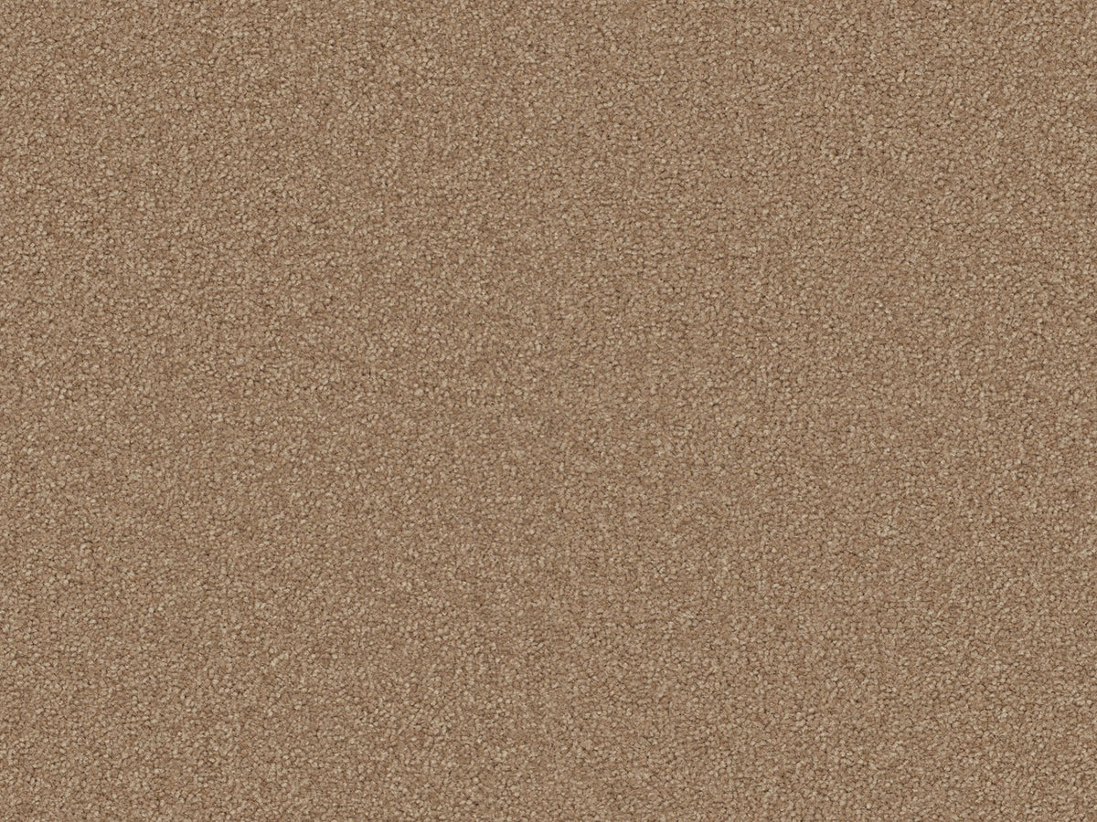 Terra Rosa Carpet