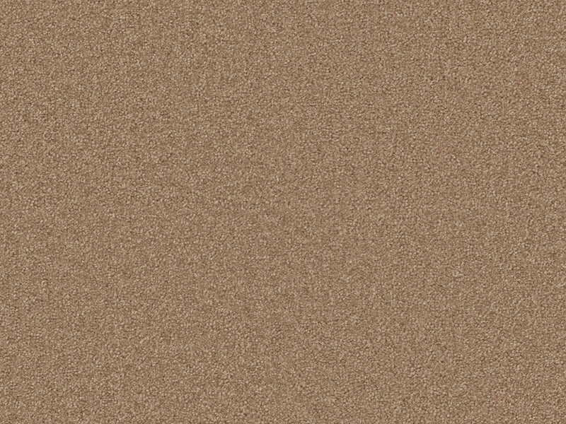 Terra Rosa Carpet