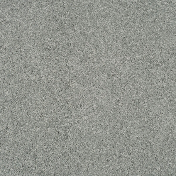 Magical Feeling Carpet