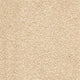 iSense Splendour Carpet