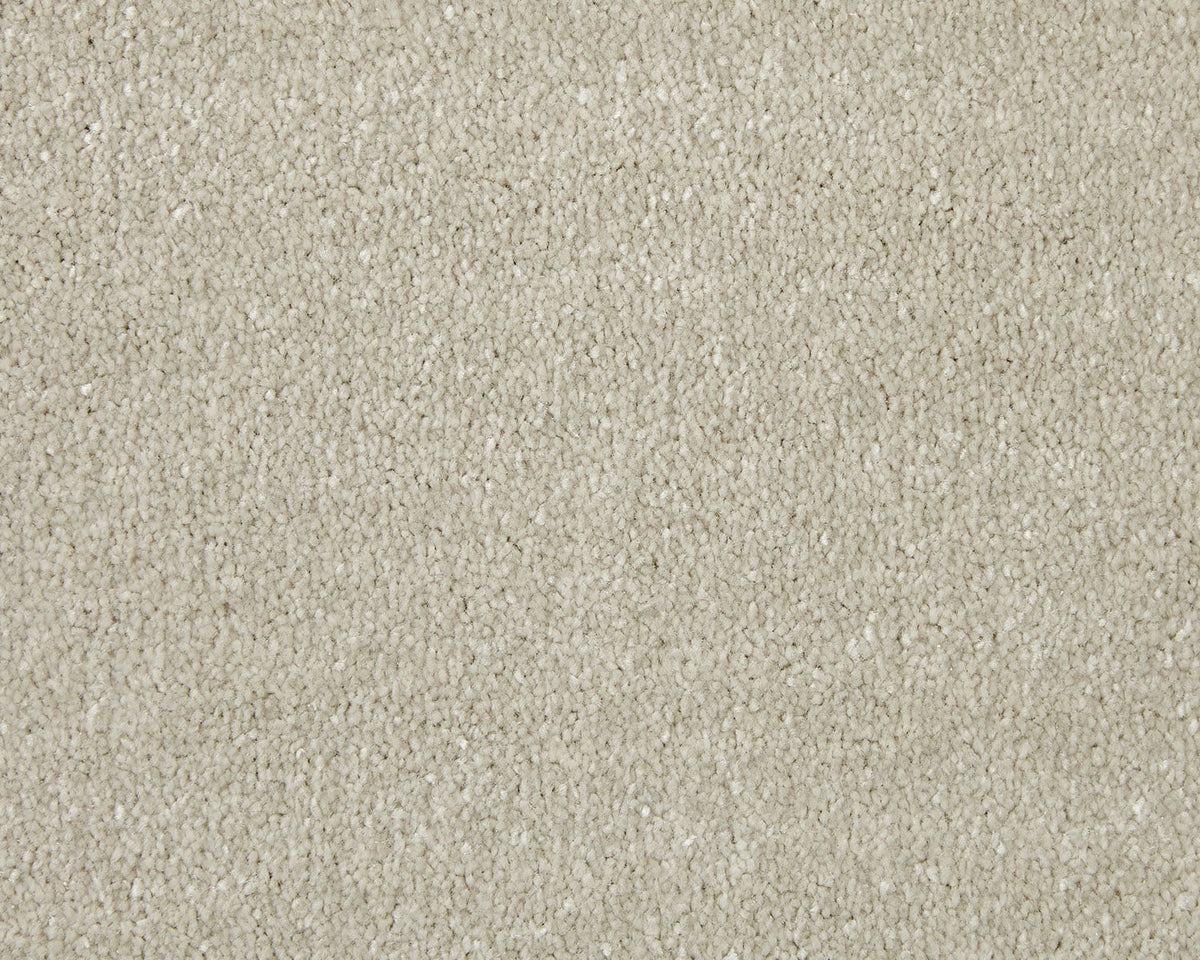 Trojan Elite Carpet