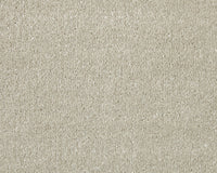 Trojan Elite Carpet