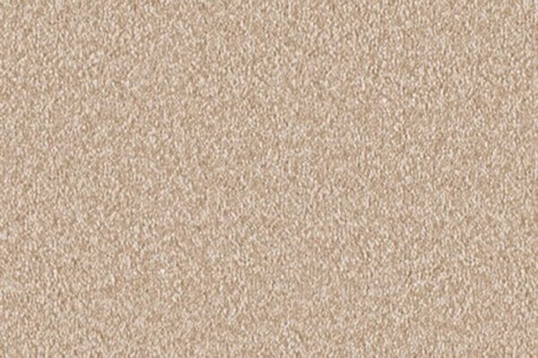 Delight Carpet