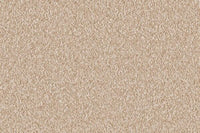 Delight Carpet