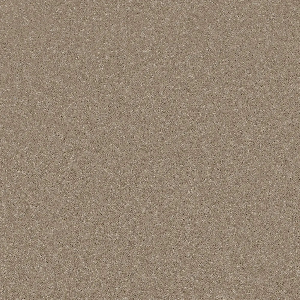 Trident Plains Carpet
