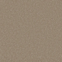 Trident Plains Carpet