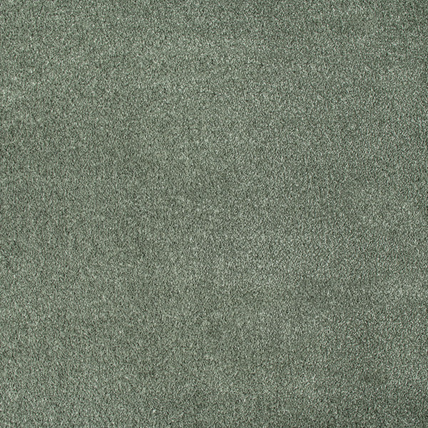 iSense Obsession Carpet