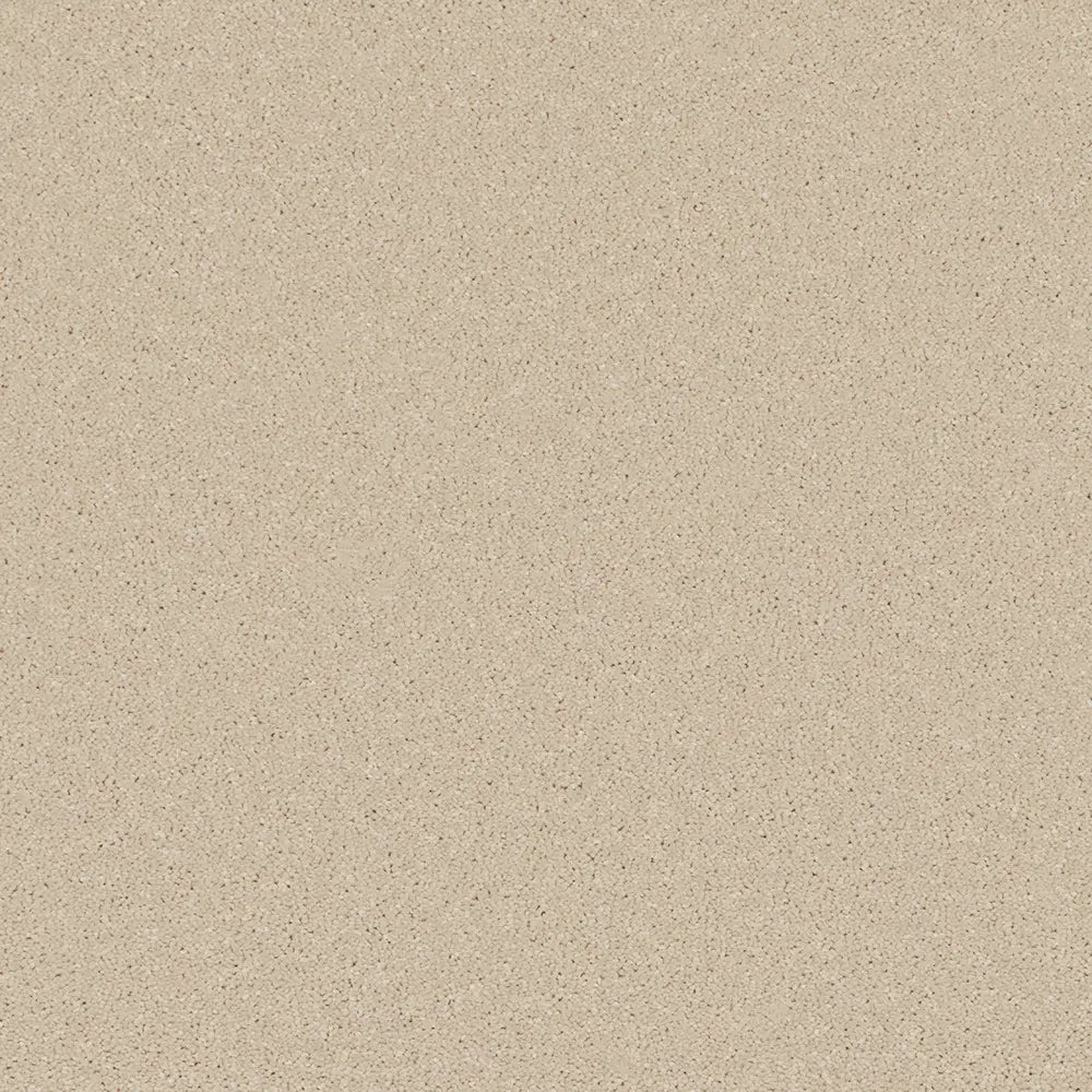Trident Plains Carpet