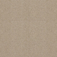 Spectrum Twist Classic 42oz Carpet