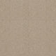 Spectrum Twist Classic 42oz Carpet