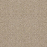 Spectrum Twist Regal 53oz Carpet