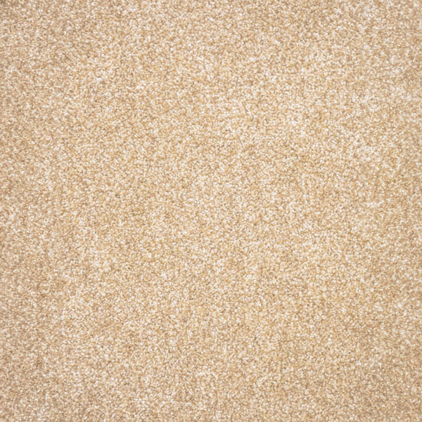 Montreal Deluxe Carpet