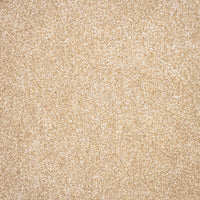 Montreal Deluxe Carpet