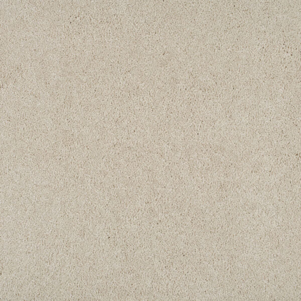 Magical Feeling Carpet