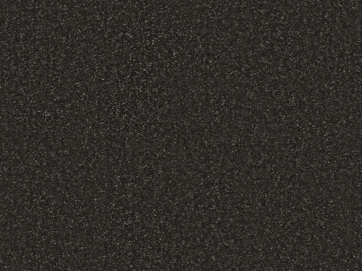 Chic Carpet
