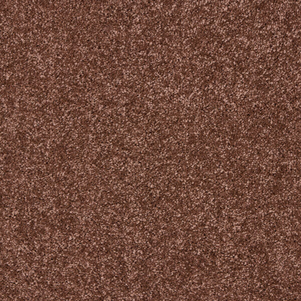 Seduction Carpet