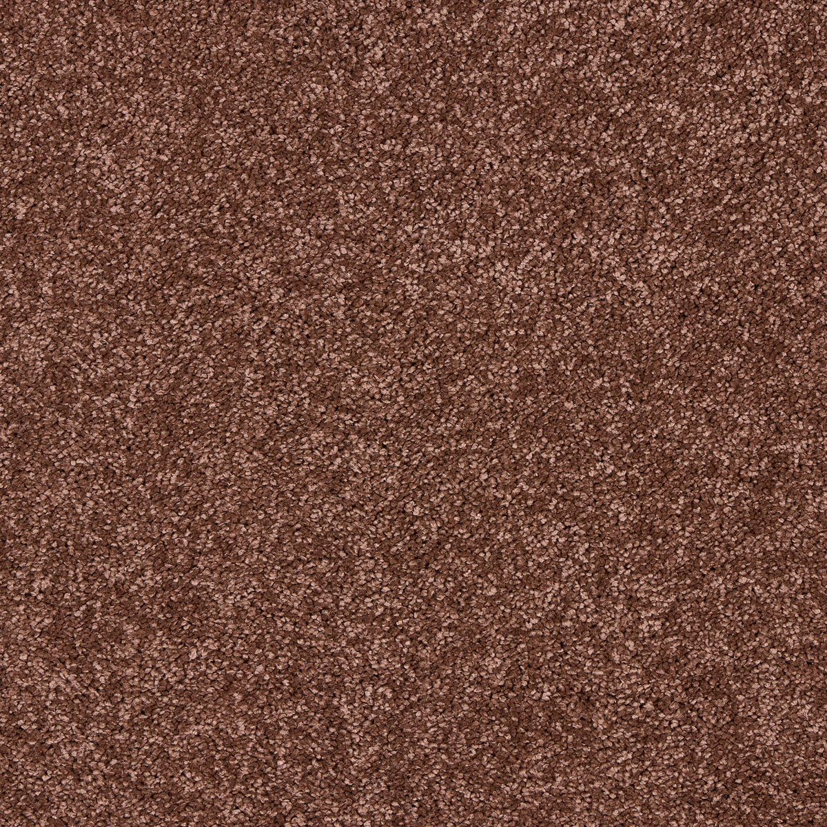 Opulent Living Carpet