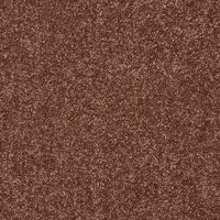 Opulent Living Carpet