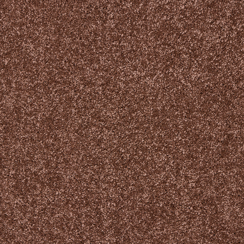 Opulent Living Carpet
