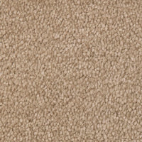 Septimus Carpet