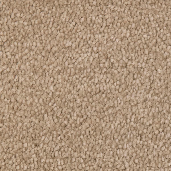 Invictus Severus Carpet