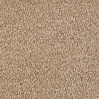 Invictus Severus Carpet